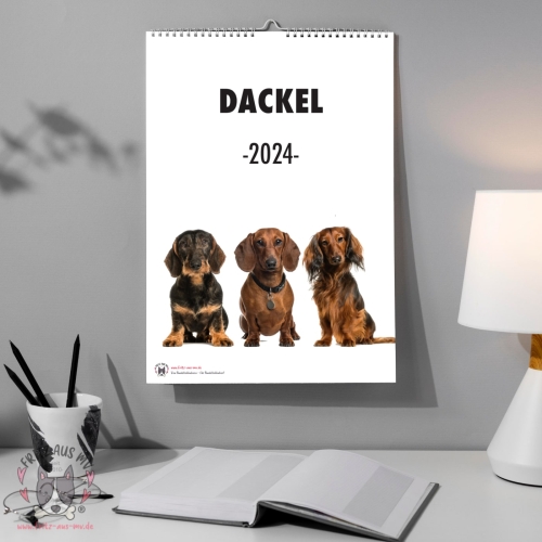 Dackel Kalender 2024