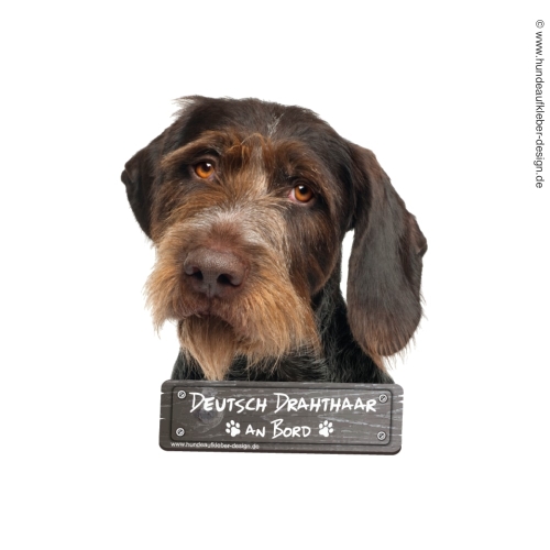 Deutsch Drahthaar an Bord Hundeaufkleber
