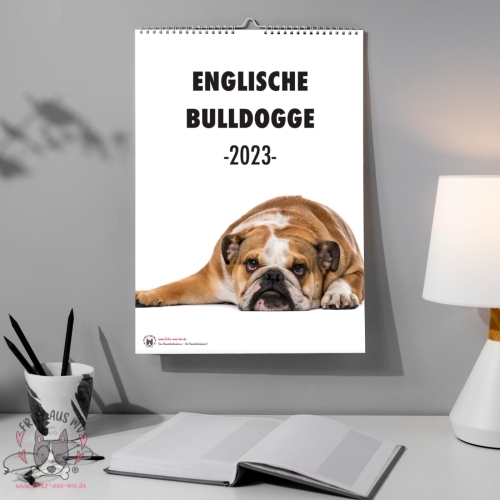 Englische Bulldogge Kalender 2023