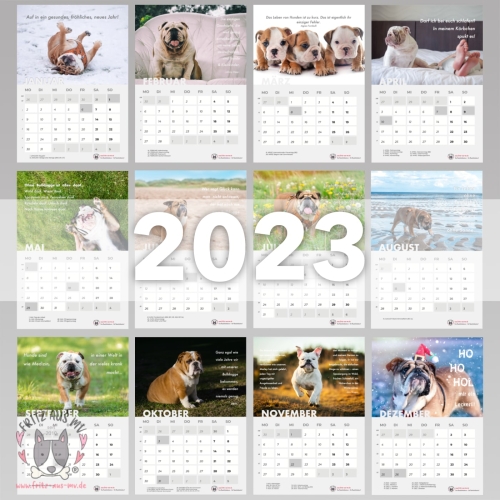 Englische Bulldogge Kalender 2023 Monatsübersicht