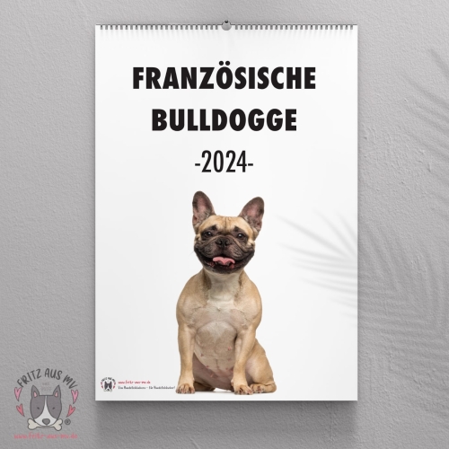 Französische Bulldogge Kalender 2024