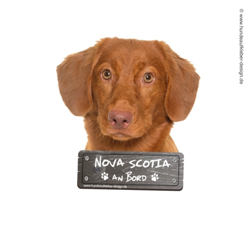 Nova Scotia Duck Tolling Retriever an Bord Hundeaufkleber