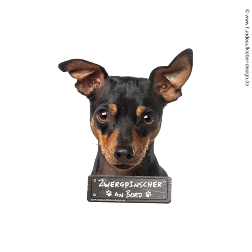 Zwergpinscher an Bord Hundeaufkleber