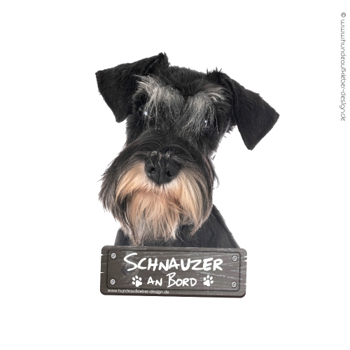Zwergschnauzer an Bord Hundeaufkleber