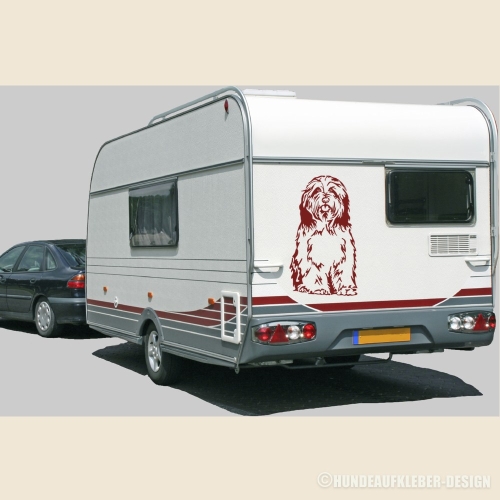 Hunde Autoaufkleber Bearded Collie