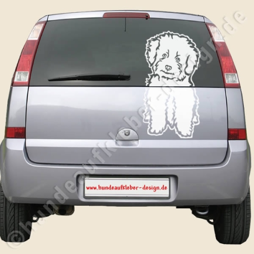 Bichon Frise Hunde Autoaufkleber