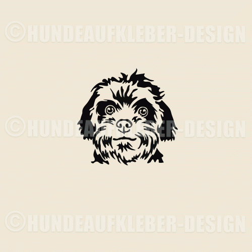 Bolonka Zwetna Aufkleber Hundekopf