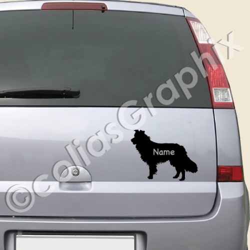 Border Collie autoaufkleber
