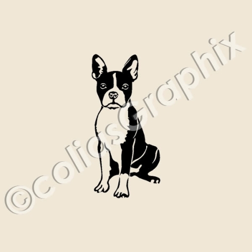 Boston Terrier Autoaufkleber