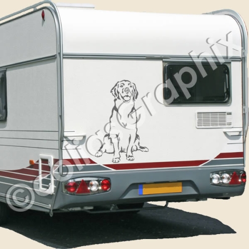Golden Retriever hundeaufkleber