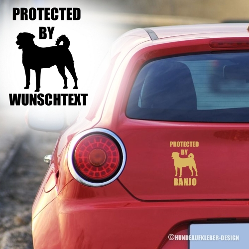 Protected by Appenzeller Sennenhund Autoaufkleber mit Hundename