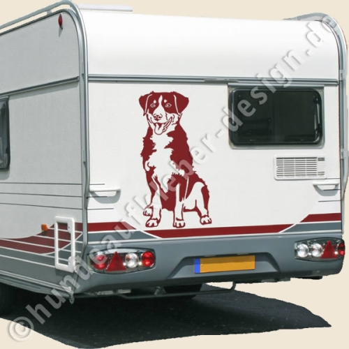 Appenzeller Sennenhund Autoaufkleber