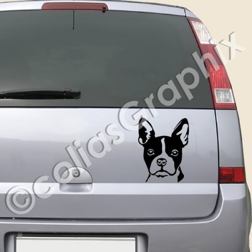 Generic Auto Sticker Autoaufkleber Lustig Dog 30Cm West Highland White  Terrier Autoaufkleber Hund Autoaufkleber Auto Dekoration Haustier Aufkleber  M2K2N1 : : Auto & Motorrad