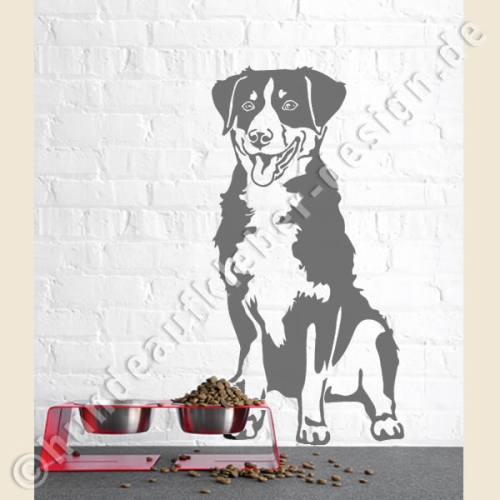 Appenzeller Sennenhund wandtattoo