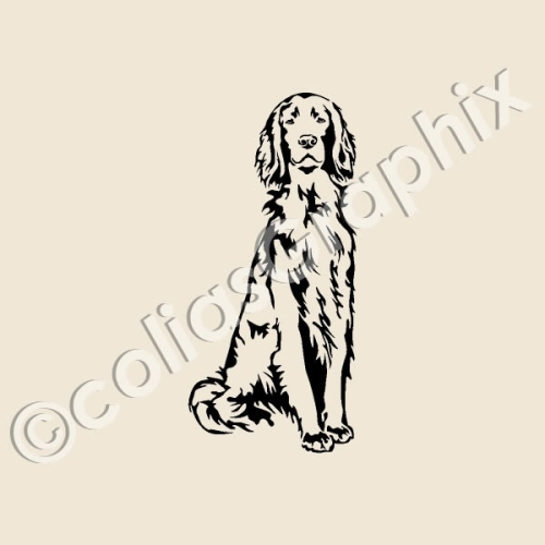 Irish Setter Aufkleber