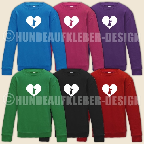 Chihuahua Sweatshirt Kindergroessen