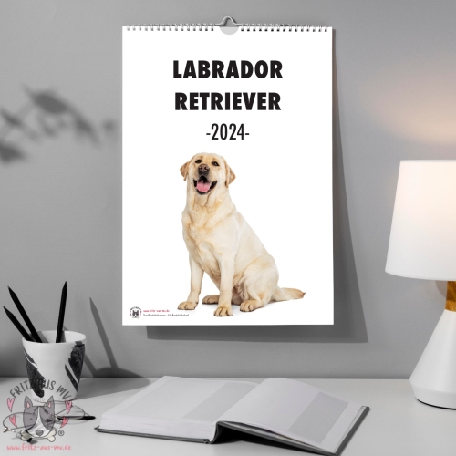 Labrador Retriever Kalender 2024