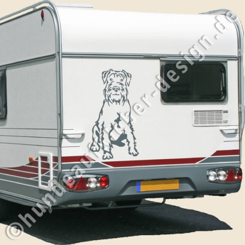 Mittelschnauzer Autoaufkleber