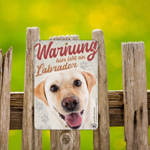 Labrador (blond) Hundeschild DIN A5