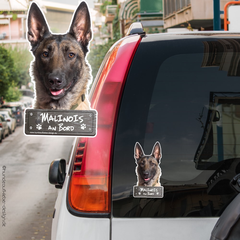 Hundeaufkleber Shop  Malinois an Bord Autoaufkleber