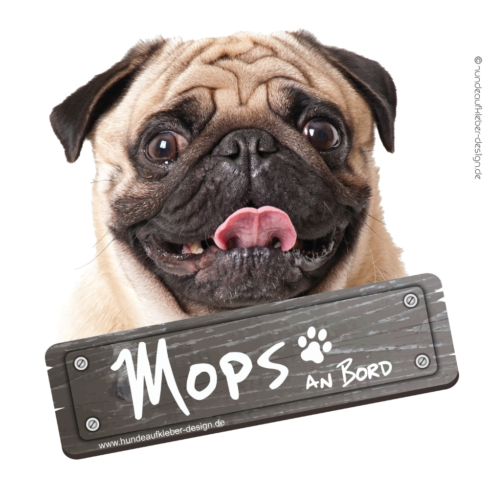 Hundeaufkleber Shop  Mops an Bord Autoaufkleber