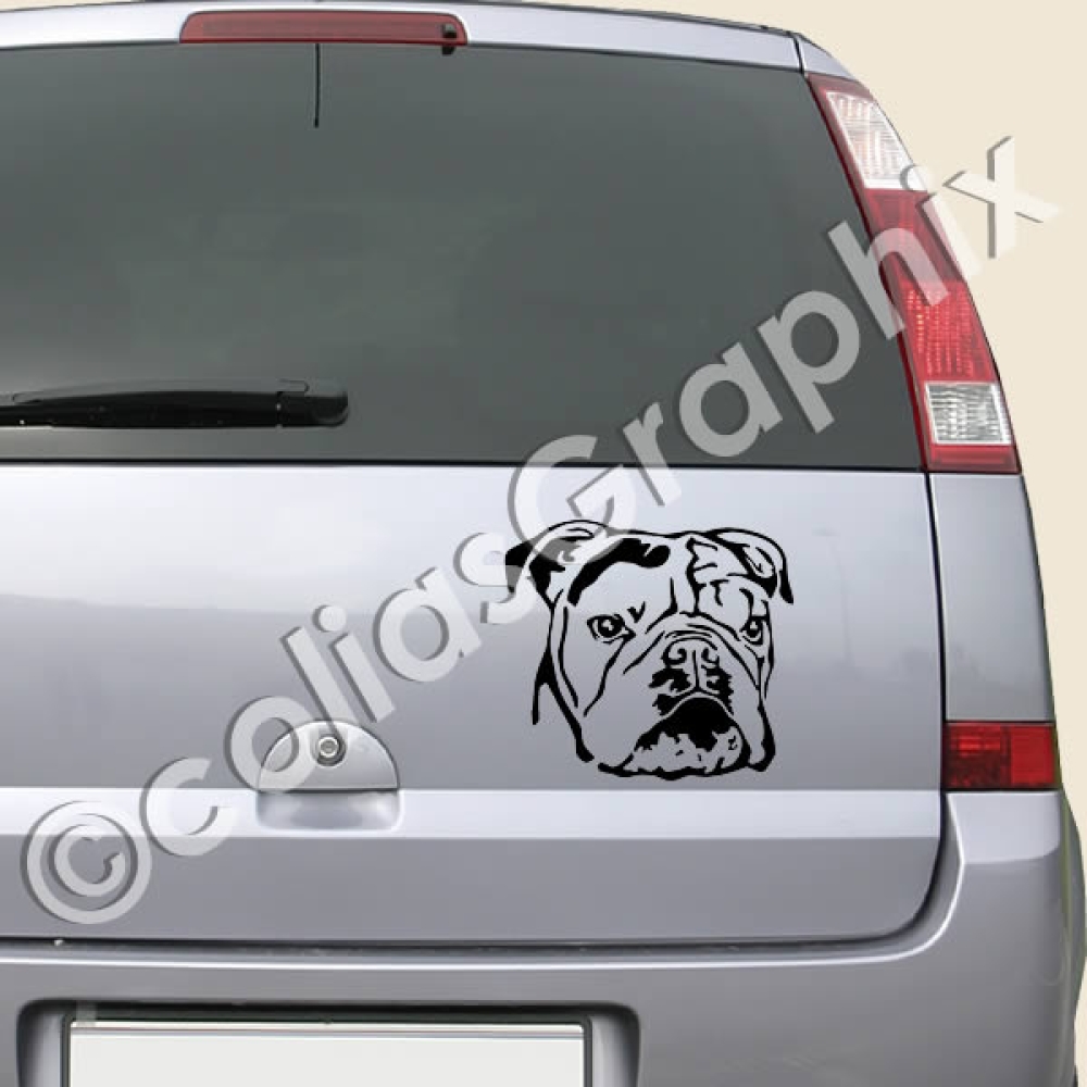 Englische Bulldogge wandtattoo hunde