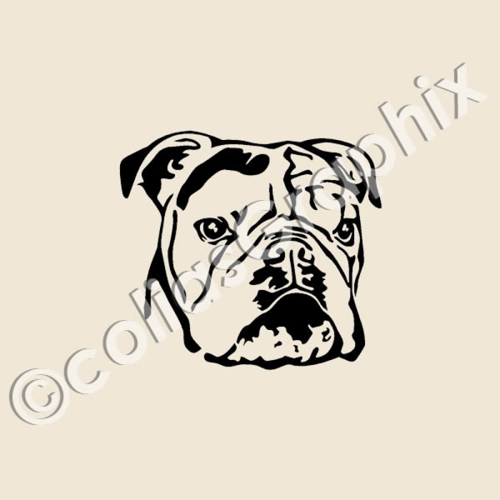 Englische Bulldogge Autoaufkleber
