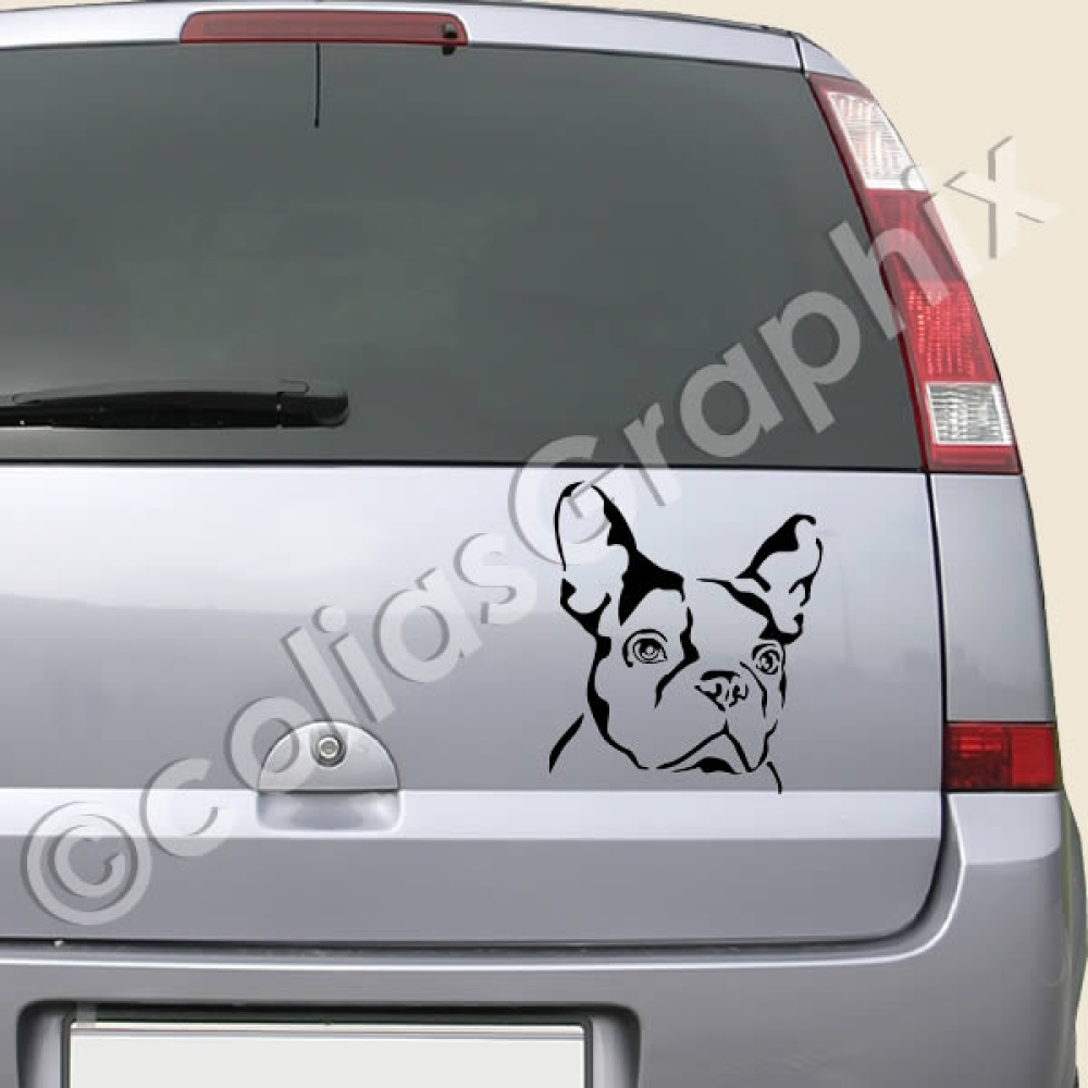 franzoesische Bulldogge hunde autotattoo