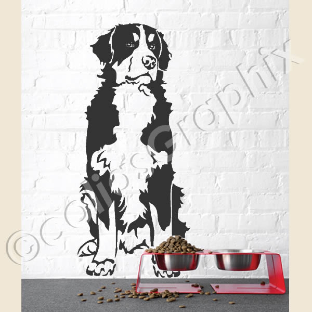 Berner Sennenhund wandtattoo hunde