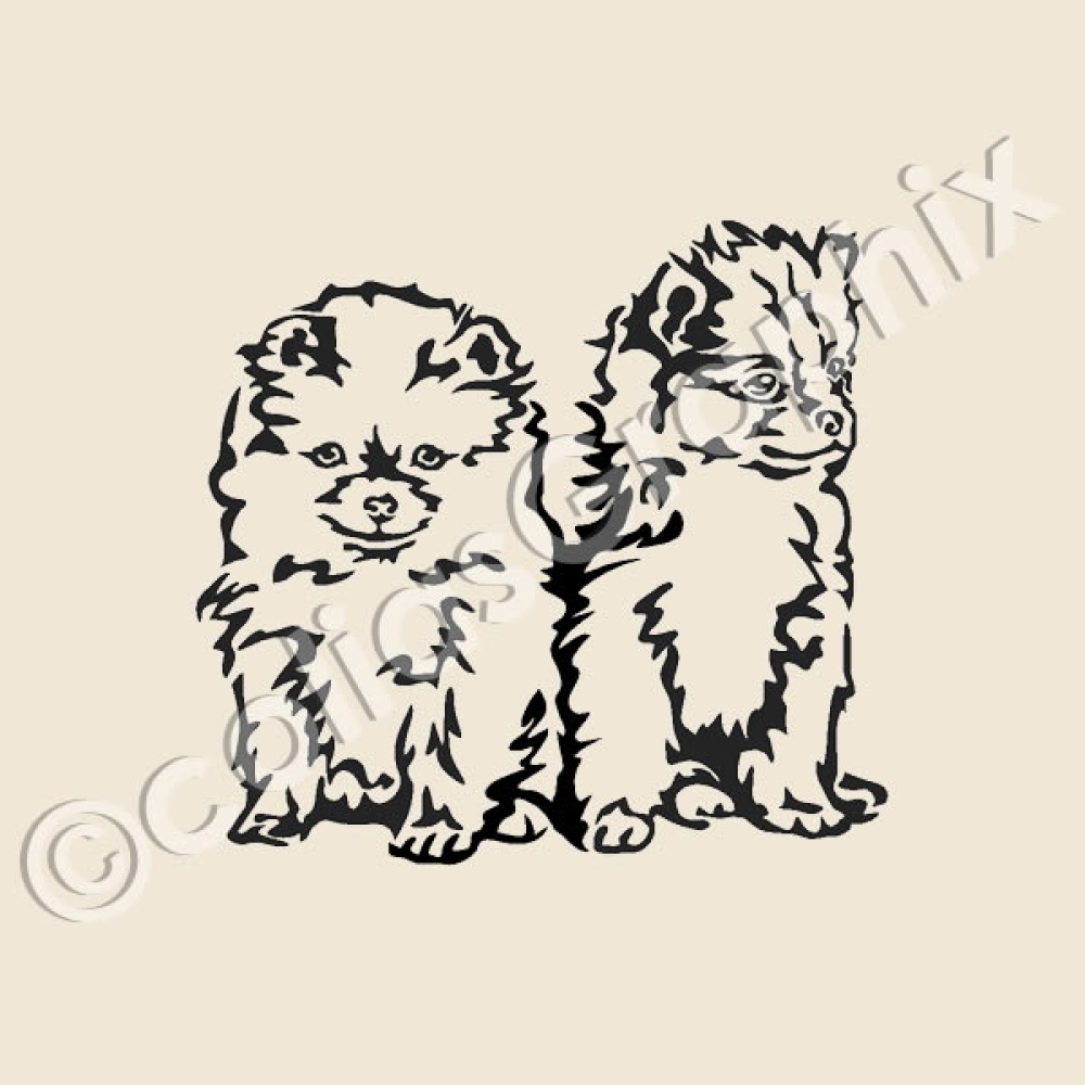 Zwergspitz Autoaufkleber