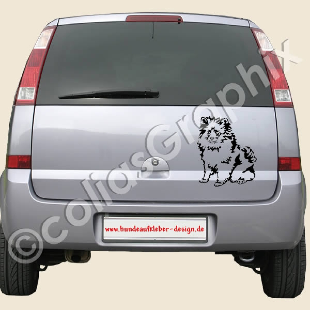 Zwergspitz wandtattoo hunde
