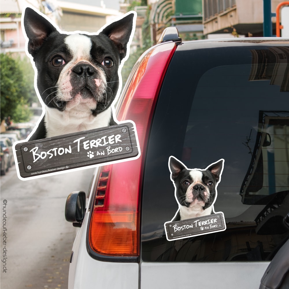 Boston Terrier an Bord Autoaufkleber