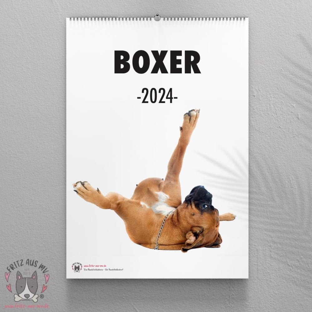 Boxer Kalender 2024