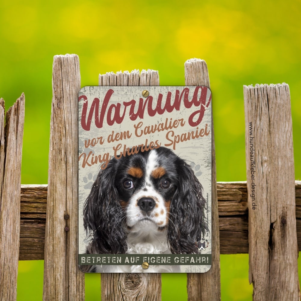 Cavalier King Charles Spaniel Hundeschild DIN A5