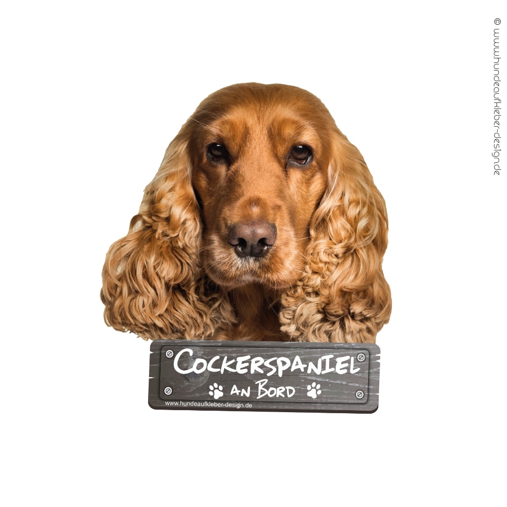 Cockerspaniel an Bord Hundeaufkleber