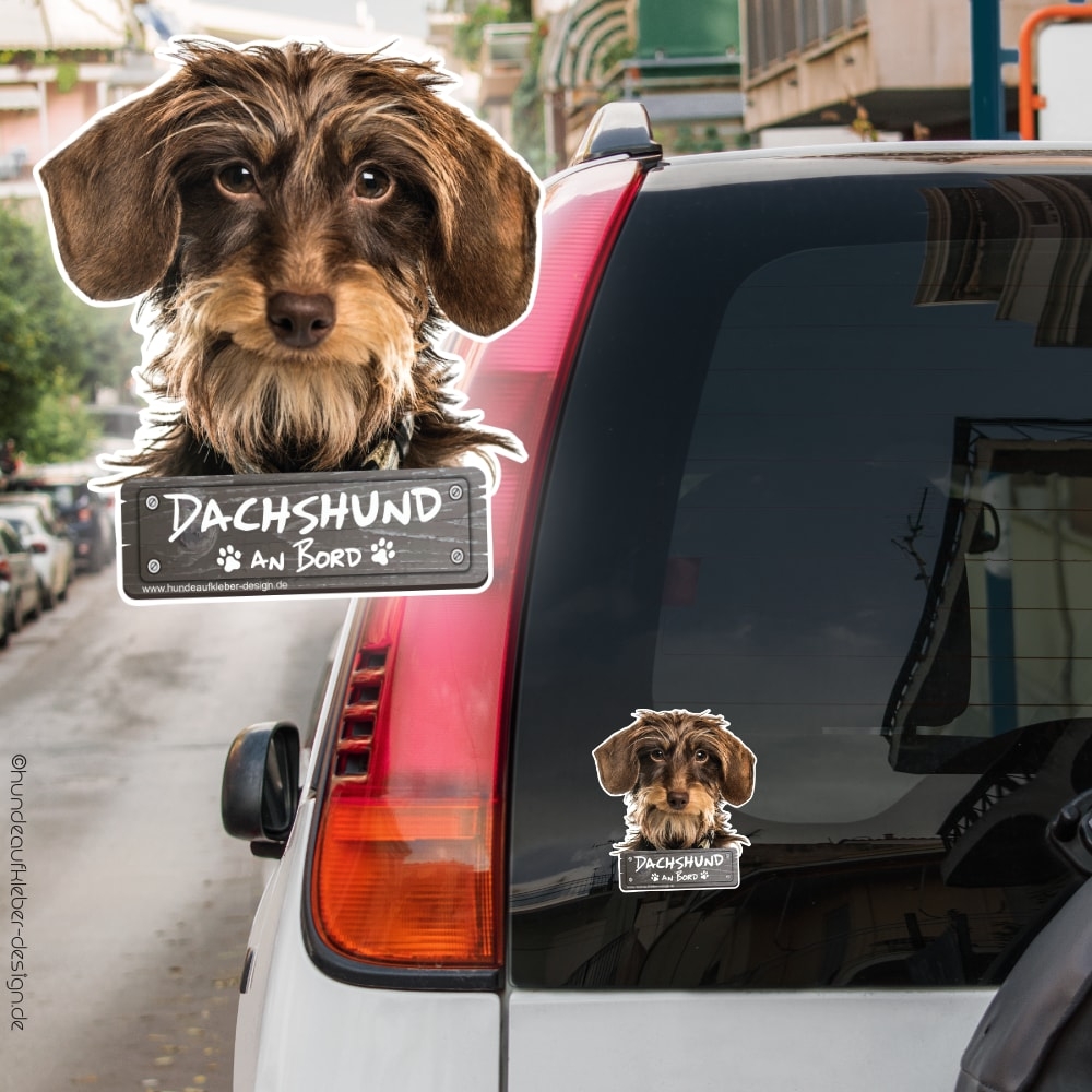 Hundeaufkleber Shop  Rauhaar Dachshund an Bord Autoaufkleber