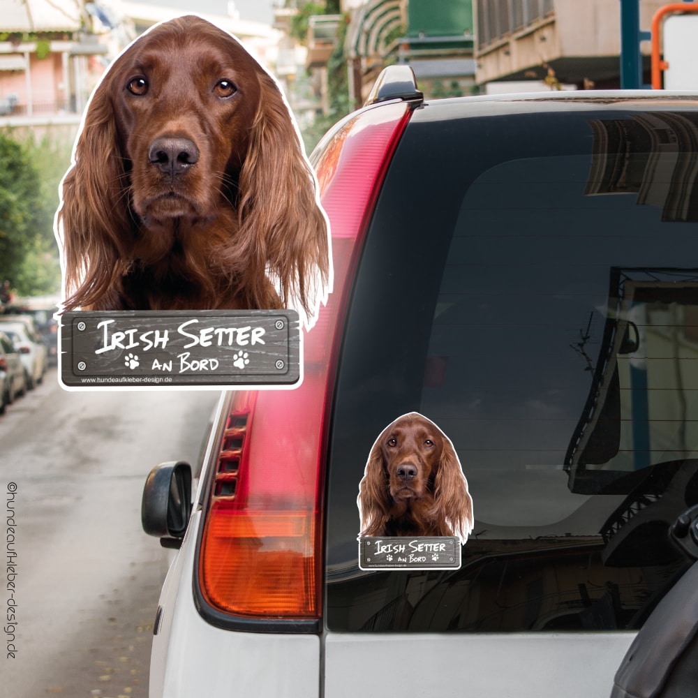 Irish Setter an Bord Autoaufkleber