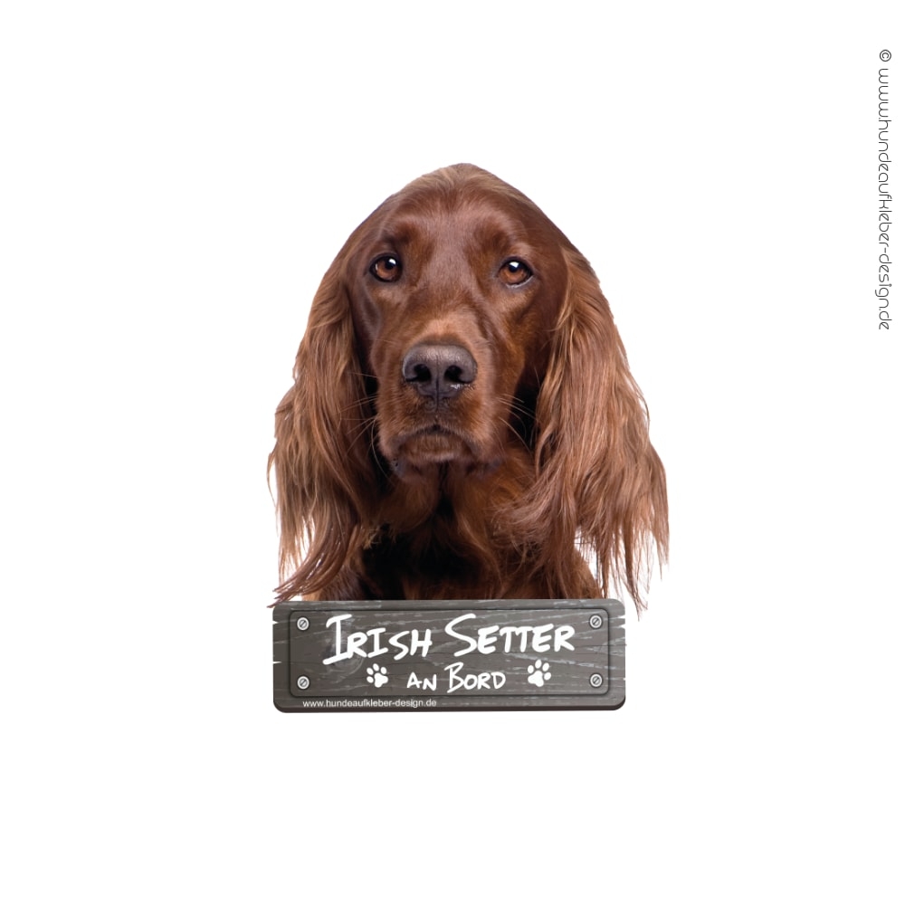 Irish Setter an Bord Hundeaufkleber