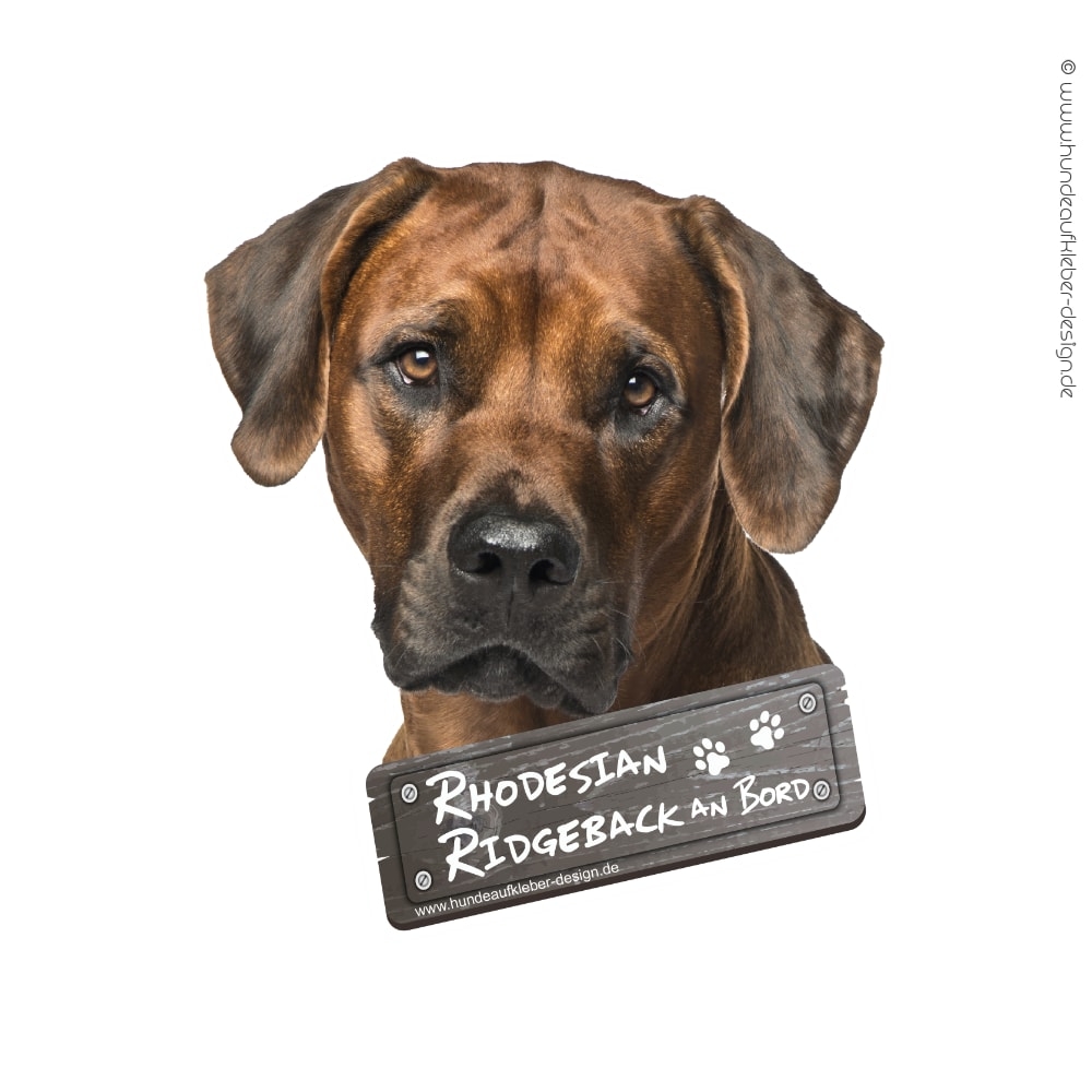 Rhodesian Ridgeback an Bord Hundeaufkleber