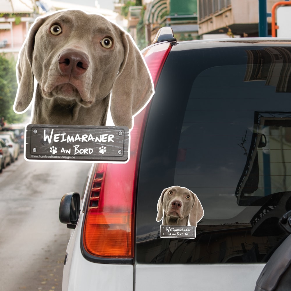 Weimaraner an Bord Autoaufkleber