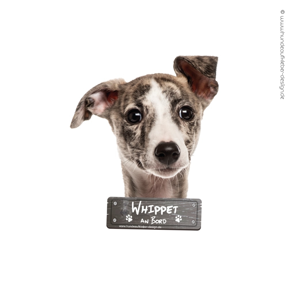 Hundeaufkleber Shop  Whippet an Bord Autoaufkleber