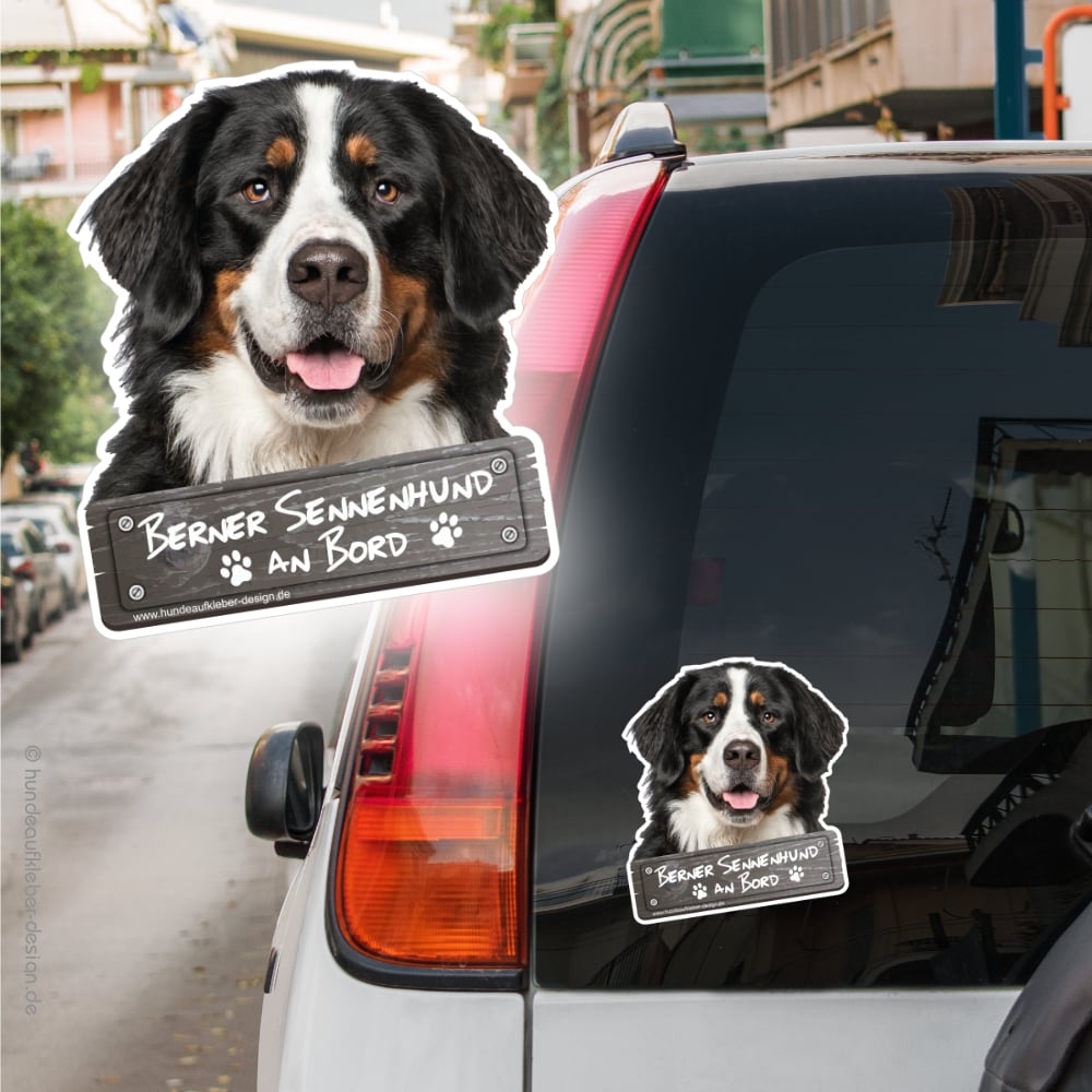 Berner Sennenhund an Bord Autoaufkleber