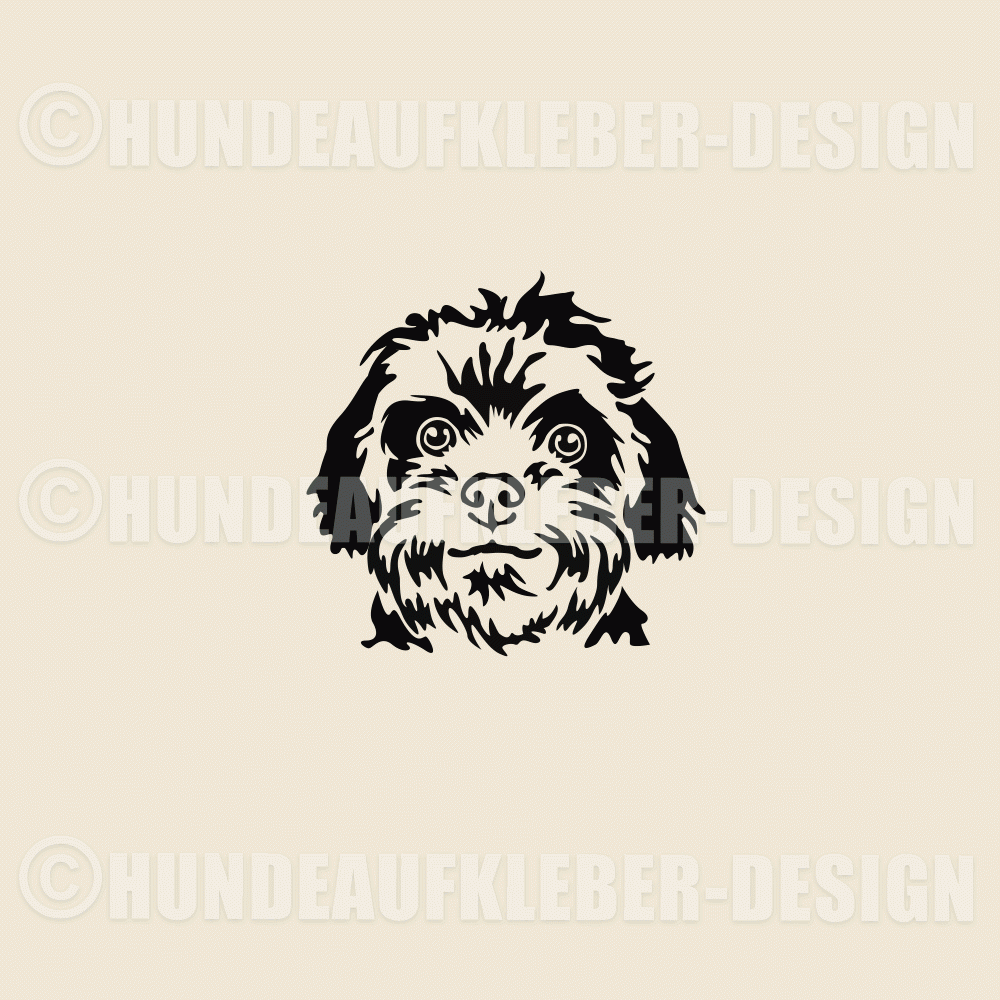 Bolonka Zwetna Aufkleber Hundekopf