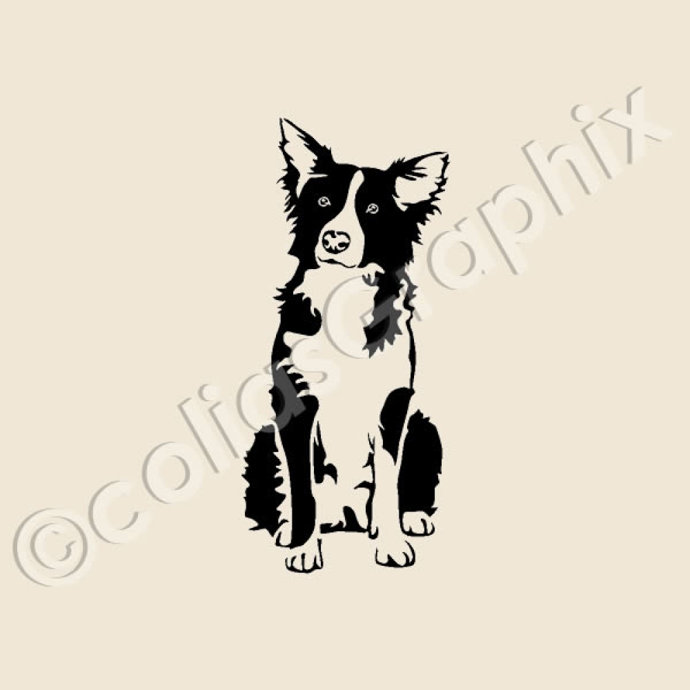 Border Collie Hundeaufkleber