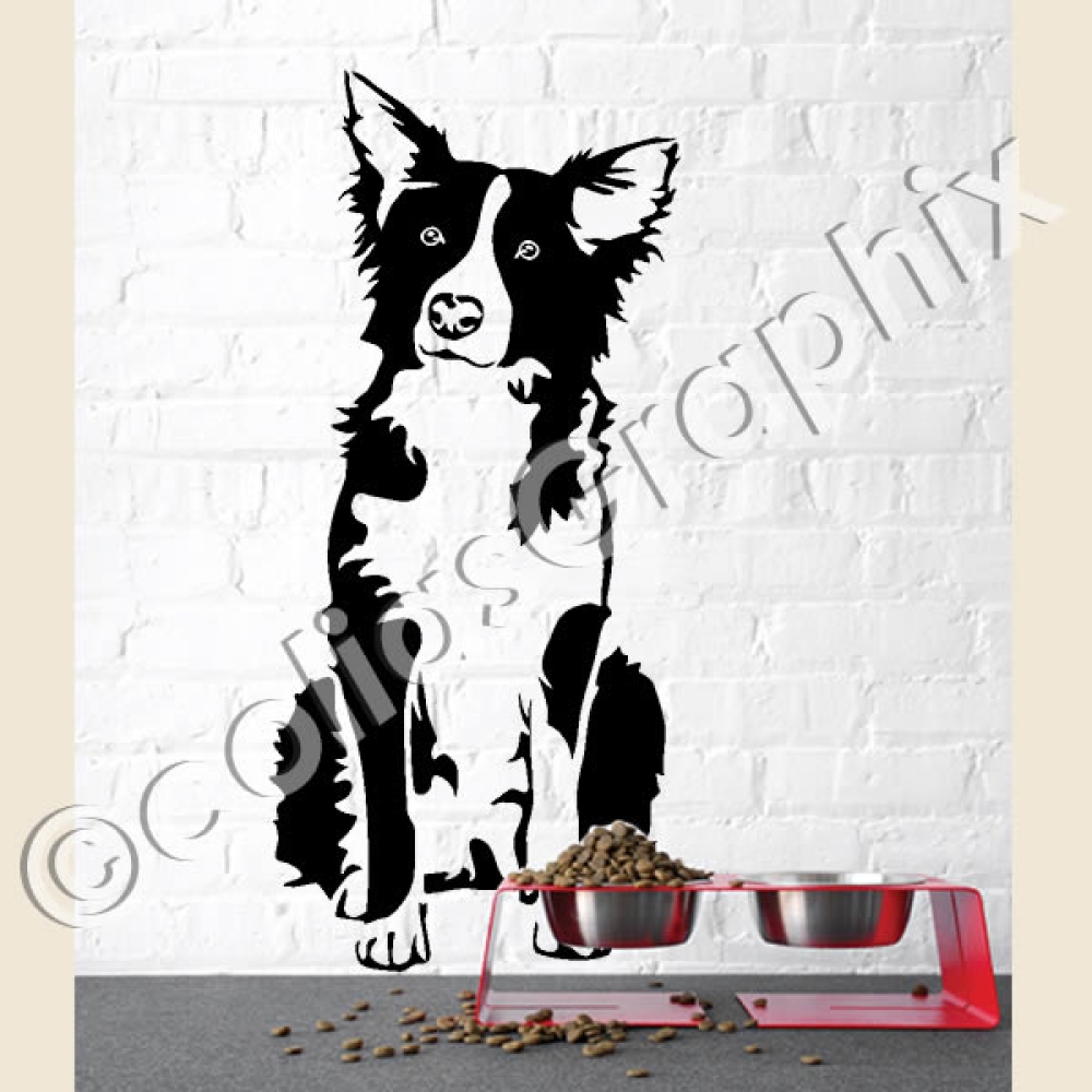Border Collie wandtattoo hunde