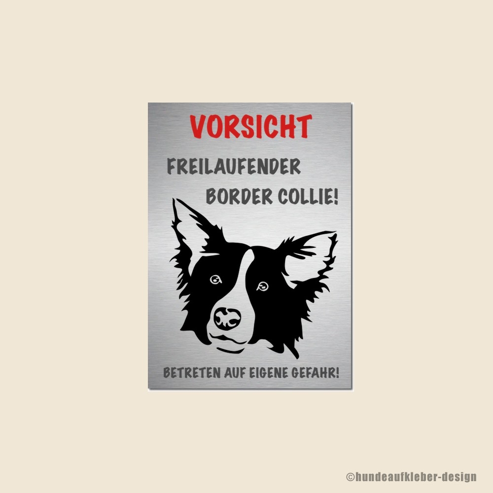 Hunde Schilder Border Collie