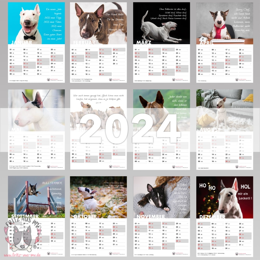Bullterrier Kalender 2024 Monatsübersicht