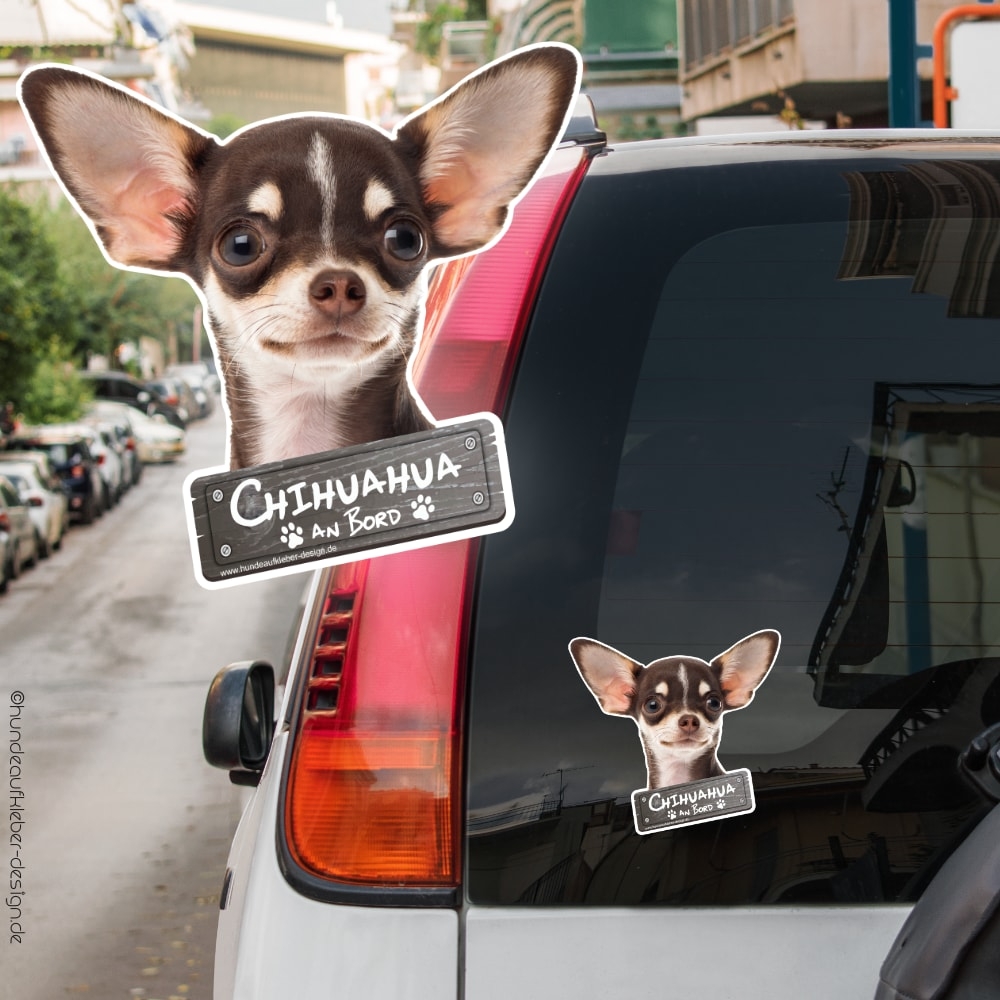 Chihuahua an Bord Autoaufkleber