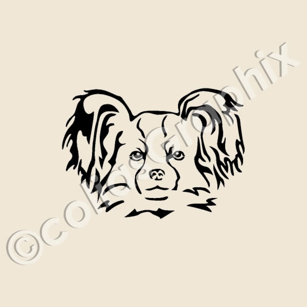 Chihuahua Hunde Autoaufkleber