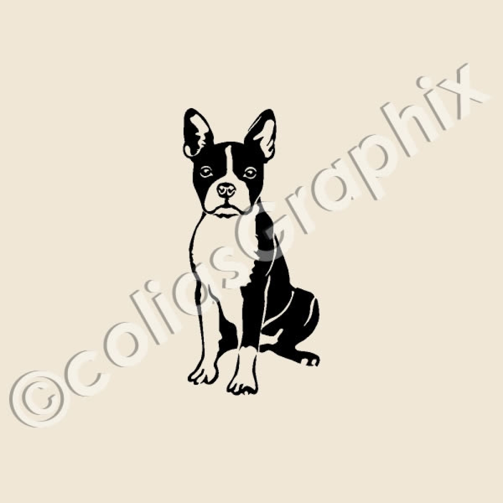 Boston Terrier Autoaufkleber